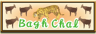 バグチャル・Bagchal