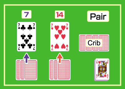クリベッジ,cribbage