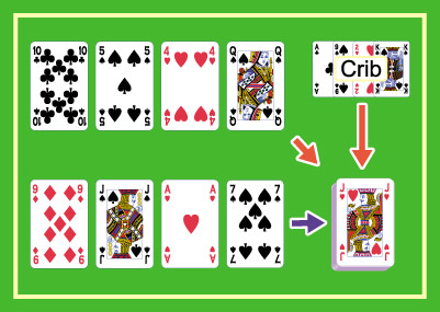 クリベッジ,cribbage